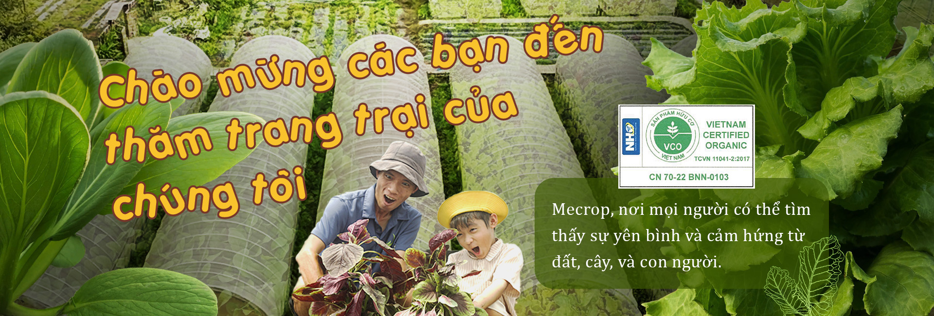 Banner01 copy