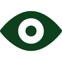Vision