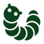 Worm